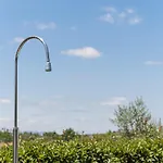Sevenfarm * Mangualde