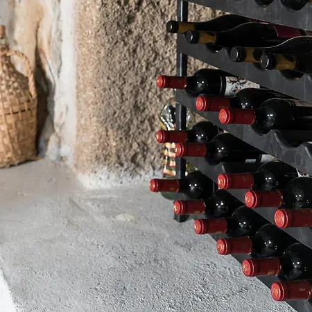 Sevenfarm Alojamento de Turismo Rural Mangualde