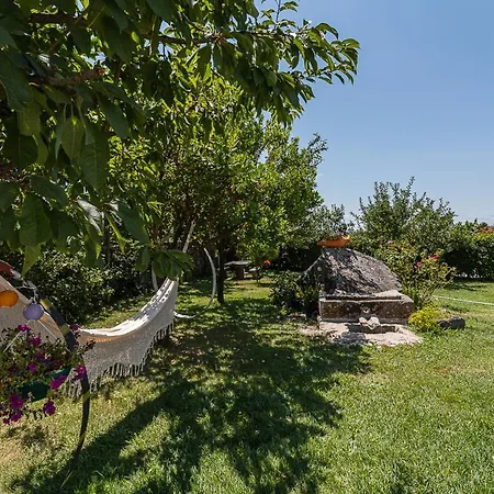 Farm stay Sevenfarm Mangualde